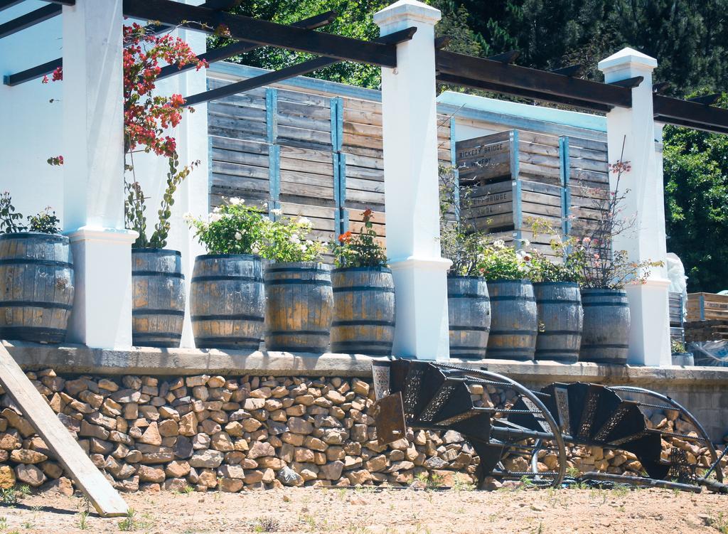 Affittacamere Rickety Bridge Manor House Franschhoek Esterno foto