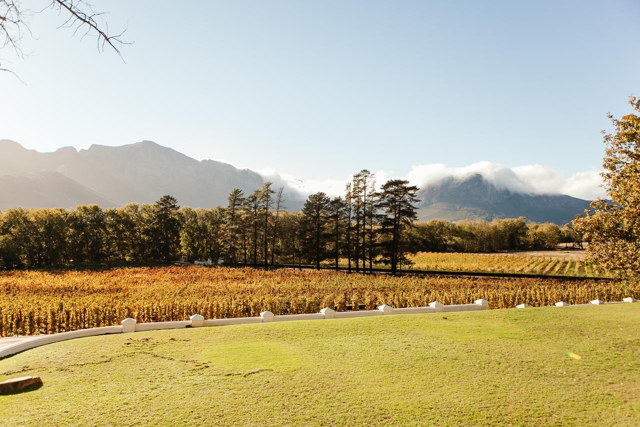 Affittacamere Rickety Bridge Manor House Franschhoek Esterno foto