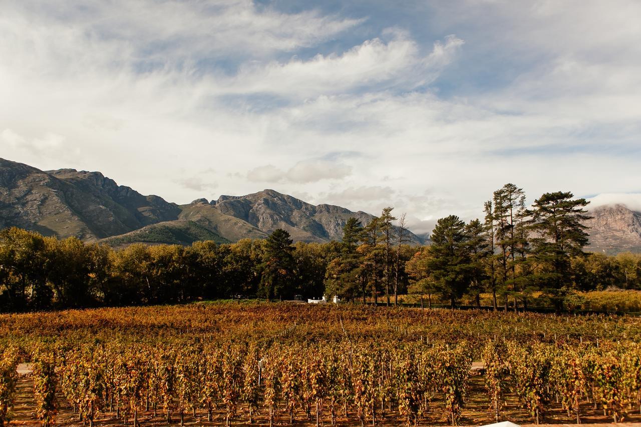 Affittacamere Rickety Bridge Manor House Franschhoek Esterno foto