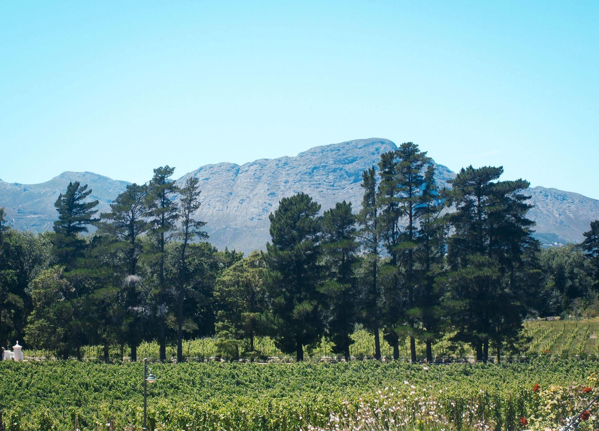 Affittacamere Rickety Bridge Manor House Franschhoek Esterno foto